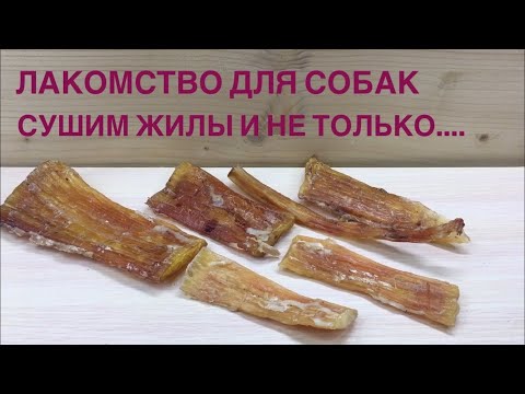 СУШЕНЫЕ ЖИЛЫ // Долгоиграющее лакомство для собак