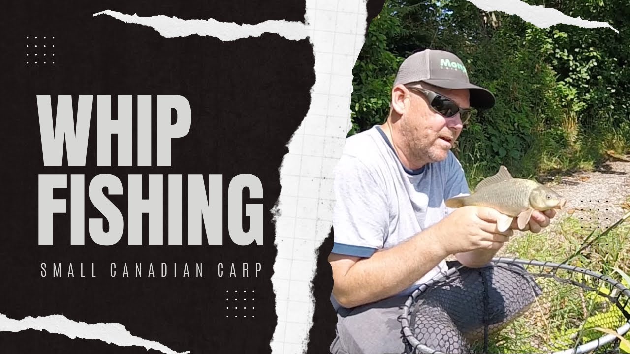 Whip fishing for Carp - YouTube