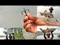 😮🐠Incredible Fishing 🎣//Big Catla Rohu Fish//Hyderabad best Fishing Video🎣.