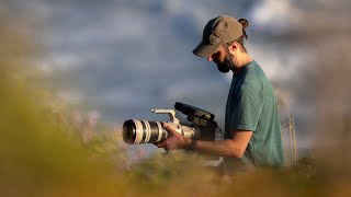 Canon R3 Longterm Review for Filming Wildlife
