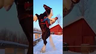 #viralvideo #horse #farmlive #viralshorts