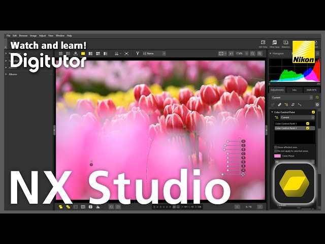 NX Studio #3 Image Adjustment Using Color Control Points | Digitutor class=