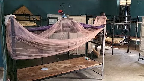 Fifty out of more than 300 students kidnapped in Nigeria escape | REUTERS