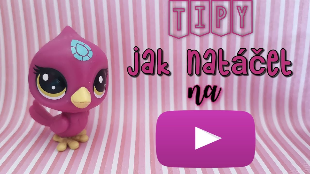 30+ TIPŮ PRO ZAČÍNAJÍCÍ YOUTUBERY A YOUTUBERKY // jak být úspěšný/á?