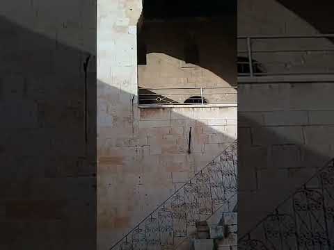 قصر العظم بحماة السلاملك