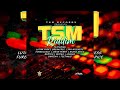 TSM Riddim Mix (Dec 2022) Richie Spice,Lutan Fyah,Bertus,Turbulence,Jashua,Jah Niceness & More...