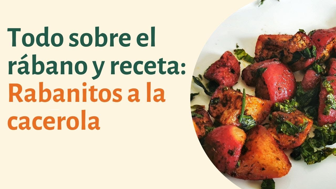 Rábanos: propiedades, usos y una receta para tus almuerzos saludables