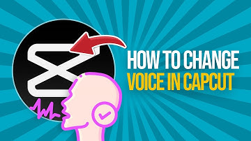 How to Change a Voice in Capcut PC & MAC (2024) Tutorial
