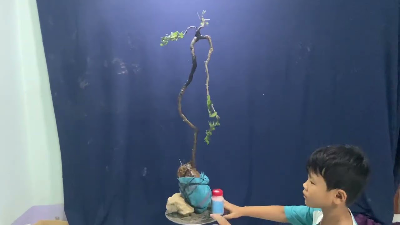 (Đã Gl…M814 cẩm thị văn nhân 250kA/c ưng ý lh 0798571705 Zalo Nga