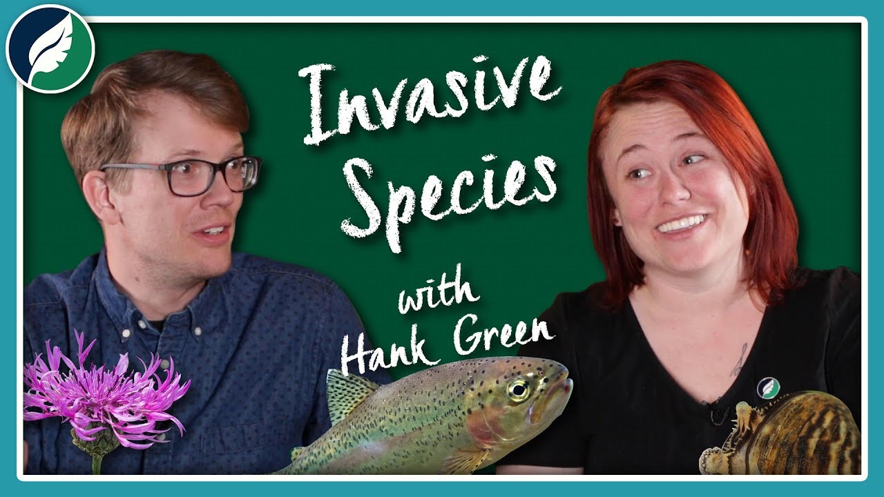 Why Do Invasive Species Get So Much Hate? (Ft. Hank Green)