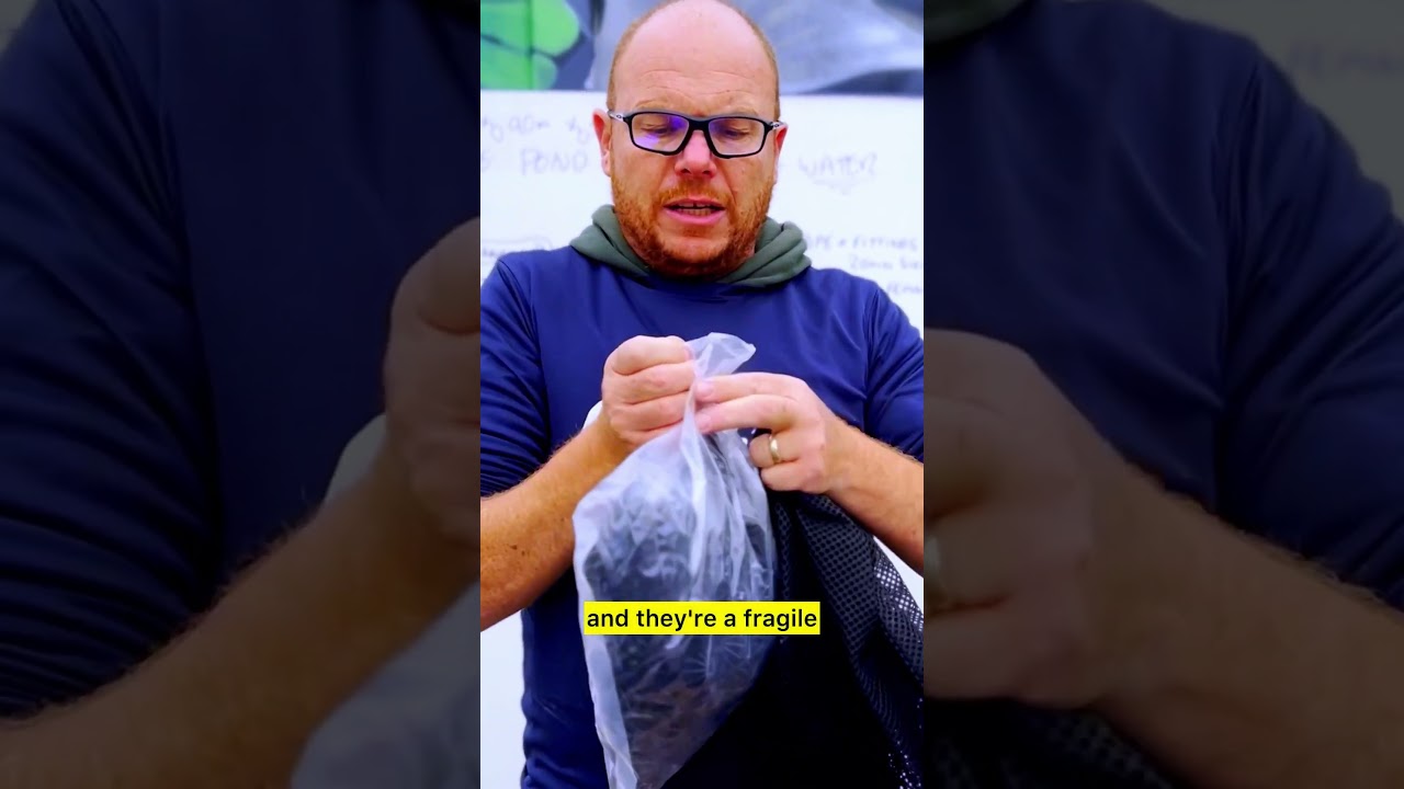 Вы когда-нибудь задумывались, как на самом деле работают экологически чистые пруды? Новое видео в...