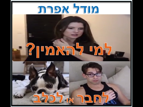 מודל אפרת 6 | אירוע פרשנות רגש תגובה | למי להאמין לחבר או לכלב? | Don't judge too quickly
