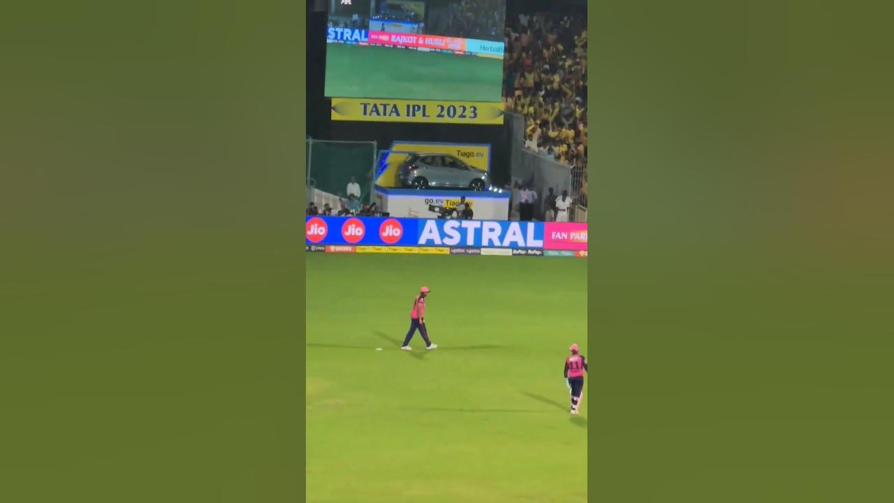 Still A Hard Hitter Do Your Support Guys csk yellove ipl still-a-hard-hitter-do-your-support-guys-csk-yellove-ipl