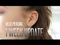 Helix Piercing 1 Week Update!