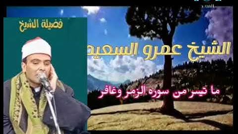 الشيخ عمرو السعيد القارئ بجمهورية مصر العربية ما تيسر من سوره غافر والزمر 🎤🎧 عالم الكاسيت