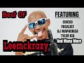 Best Of LeeMckrazy 2024 Mix #amapiano #amapianodance #kabzadesmall #djmaphorisa