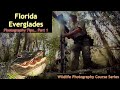 Florida Everglades Photography Part 1   Wild Photo Adventures