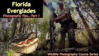 Florida Everglades Photography Part 1   Wild Photo Adventures