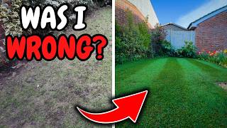 I Thought This Lawn Was Dead… I Was Wrong