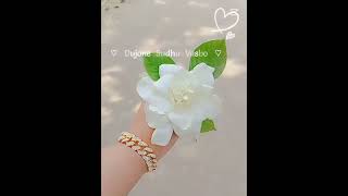 TheBlock: Behind the scenes"