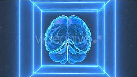 Low Poly Brain Loop Background