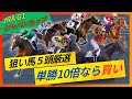 【ジャパンカップ】クロワ自信の消し!勝つ馬は枠次第で鉄板級!