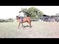 MEU CAVALO NÃO QUER  VIRAR  PRA  UM  DOS LADOS, E AGORA?