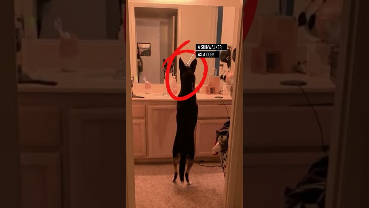 Scariest Things Hidden In Normal Photos Scary Viral Ytshorts