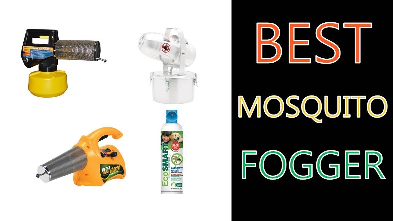 Best Mosquito Fogger YouTube