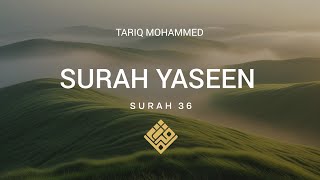 Sure Yaseen (Schöne Rezitation) | Beruhigendes Koran-Audio | Sure 36 von Tariq Mohammed