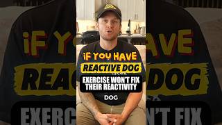 You Can’t Exercise Reactivity Out of Your Dog @tomdavisofficial