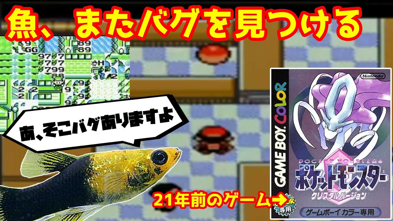 クレカ情報開示だけじゃない ポケモンをプレイする魚 が巻き起こしたミラクルの数々 インサイド