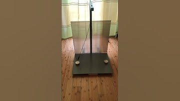 Movement of the Pendulum Affected by Two Rare Earth Magnets – Olena Hrynenko