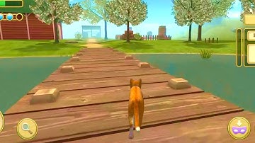 Cat Simulator 2020 #4