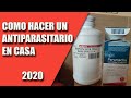 CRIA CANARIOS (COMO HACER UN ANTIPARASITARIO EN CASA) 2020