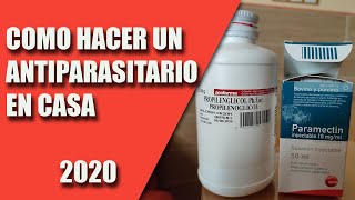 CRIA CANARIOS (COMO HACER UN ANTIPARASITARIO EN CASA) 2020