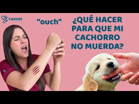 Video: Cómo evitar que los cachorros lloren y muerdan