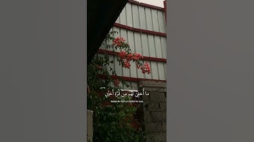 آيات مطمئنة! القارئ عبدالرحمن مسعد سورة السجدة #اكسبلور