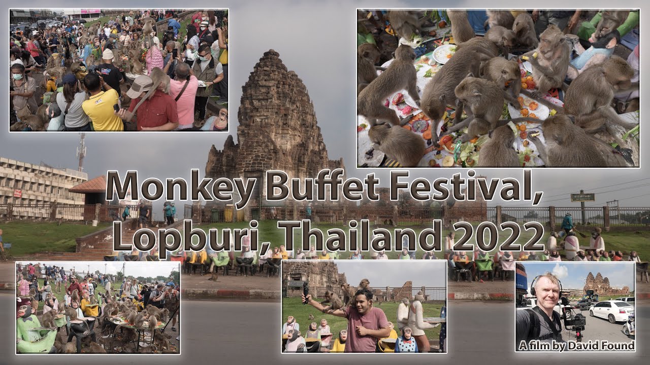 Monkey Buffet Festival, Lopburi, Thailand 2022 - By David Found - YouTube