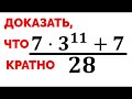 Сможешь доказать, что 7*3^11+7 кратно 28?