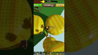 Large Mango Roblox Grow A Garden 2