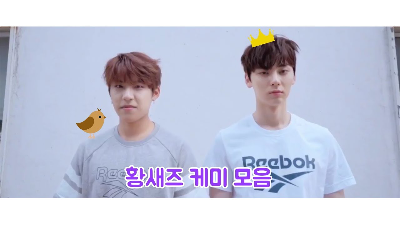 [황민현X박우진] 황새즈 관계성 모음