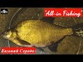 Вот что помогло мне наловить больших лещей. "All-in Fishing". Вып. 9.