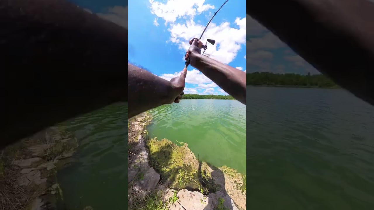 5 minutes of raw footage of Mr bass fishing