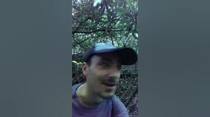 The last time we went Ginseng hunting rip Freddie ...
