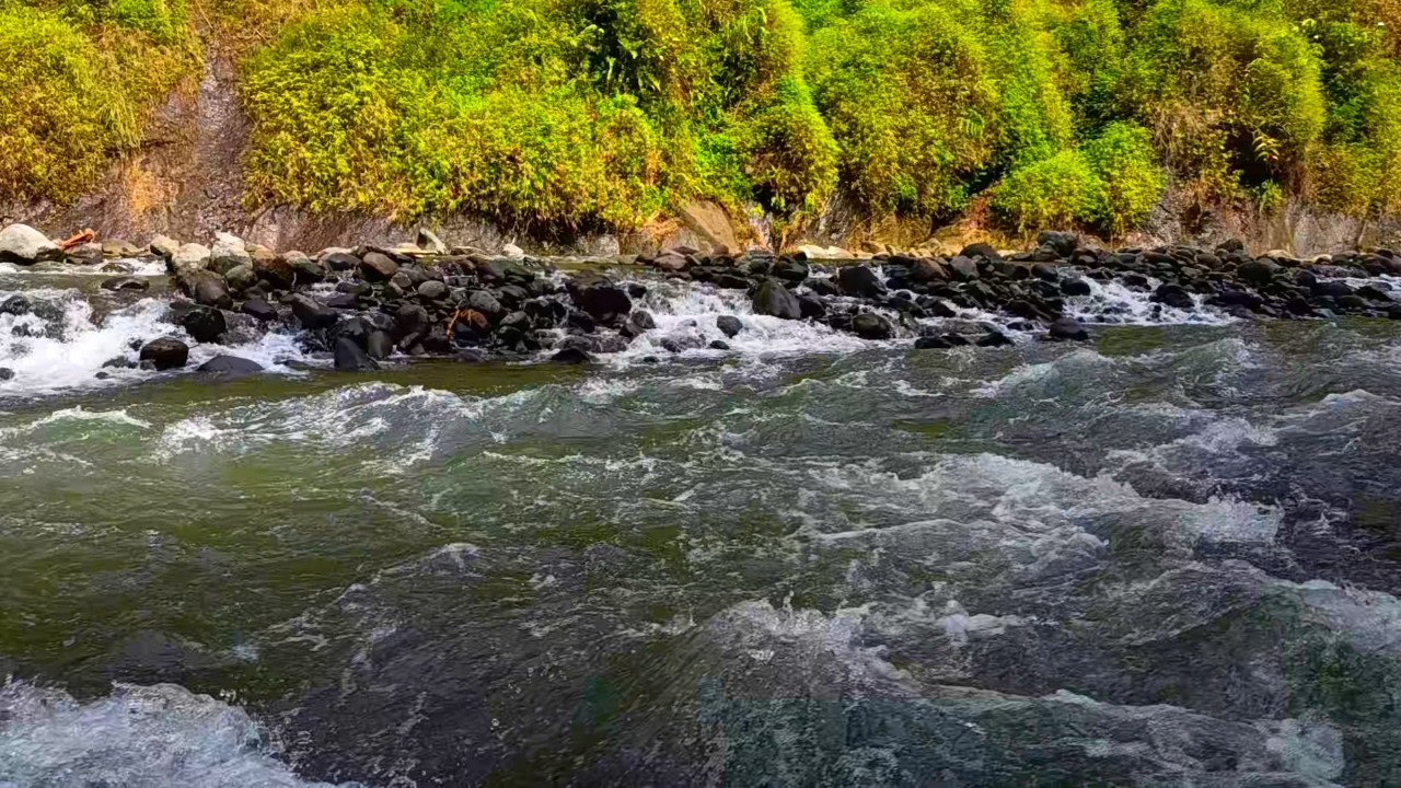 Peaceful Mountain Stream ASMR 🏔️💧 | Soothing Water Sounds for Sleep, Relaxation & Meditation