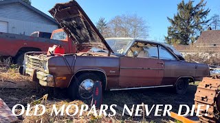 Will This Rusty 1973 Plymouth Scamp Run And Drive After Sitting Next To The Ocean For 20 Years?