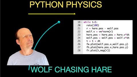 Python Physics: Modeling the Wolf and Hare Problem