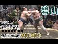 令和6年 初場所 碧山 0勝7敗8休 #sumo