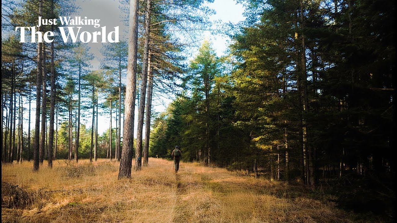 🇳🇱 Самый волшебный свет, который мне когда-либо удавалось запечатлеть… | Леендербос в Леенде